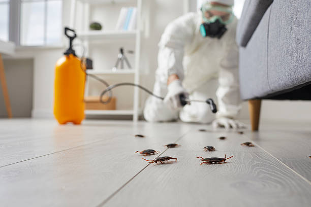 Trusted Fumigation Services service in Siler City, NC - Nex Pest Control