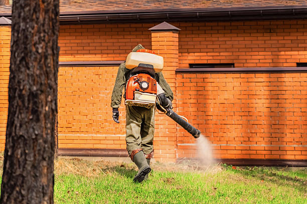 Trusted Mosquito Control service in Siler City, NC - Nex Pest Control